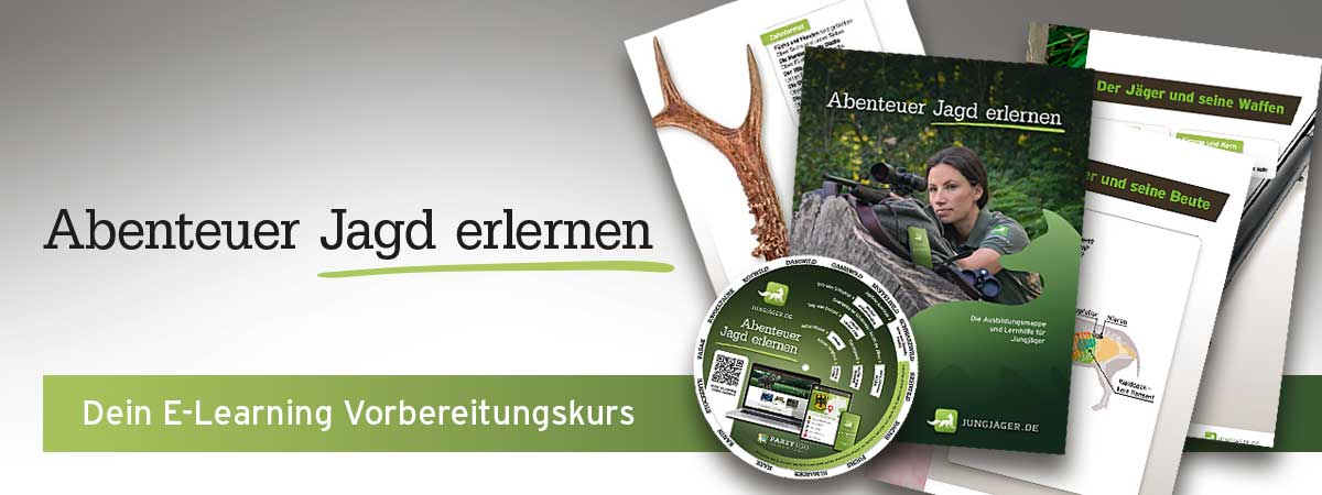 Partner der Ausbildung